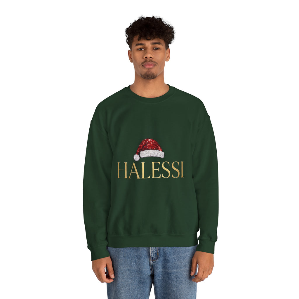 Unisex Premium Halessi Sweatshirt