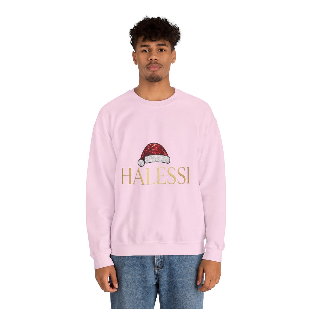 Unisex Premium Halessi Sweatshirt